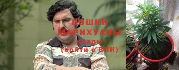 ГАЛЛЮЦИНОГЕННЫЕ ГРИБЫ Волосово