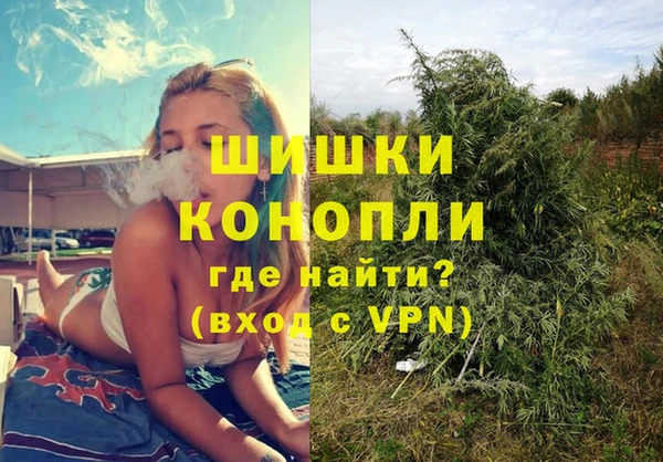 PSILOCYBIN Бугульма