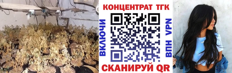 блэк спрут зеркало  Гусиноозёрск  ТГК вейп 