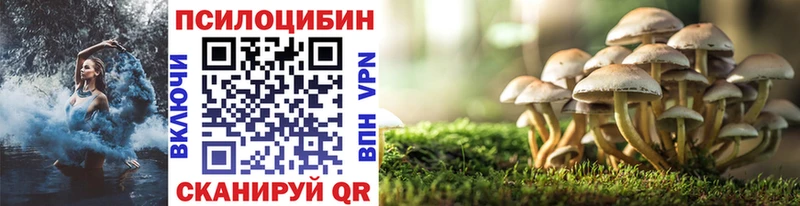 ссылка на мегу ССЫЛКА  наркотики  Гусиноозёрск  Псилоцибиновые грибы Cubensis 