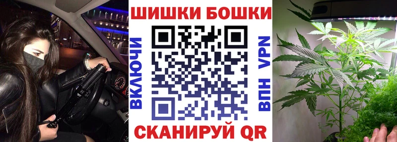 Каннабис сатива Гусиноозёрск